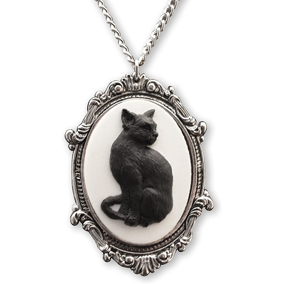 Black Cat Cameo In Fram Necklace in Silver Toned Frame 20" Chain by JPI Goth - Picture 1 of 4
